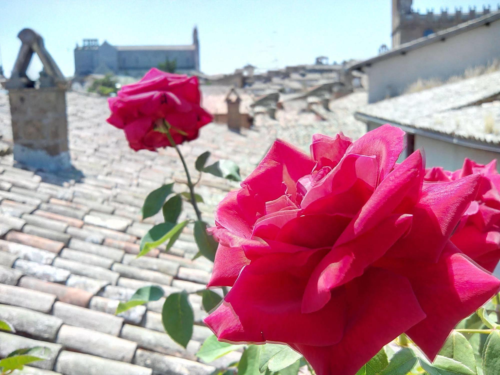 Orvieto In Terrazza Hotel Екстериор снимка